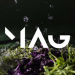 MAG Collective